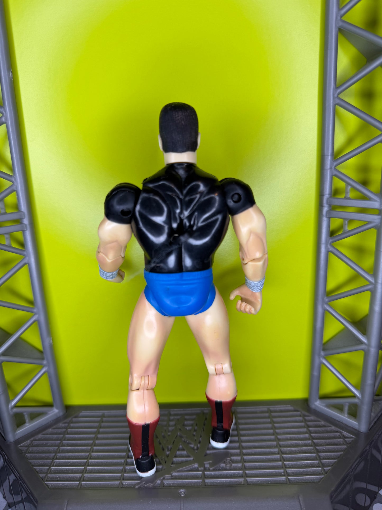 Rowdy Roddy Piper