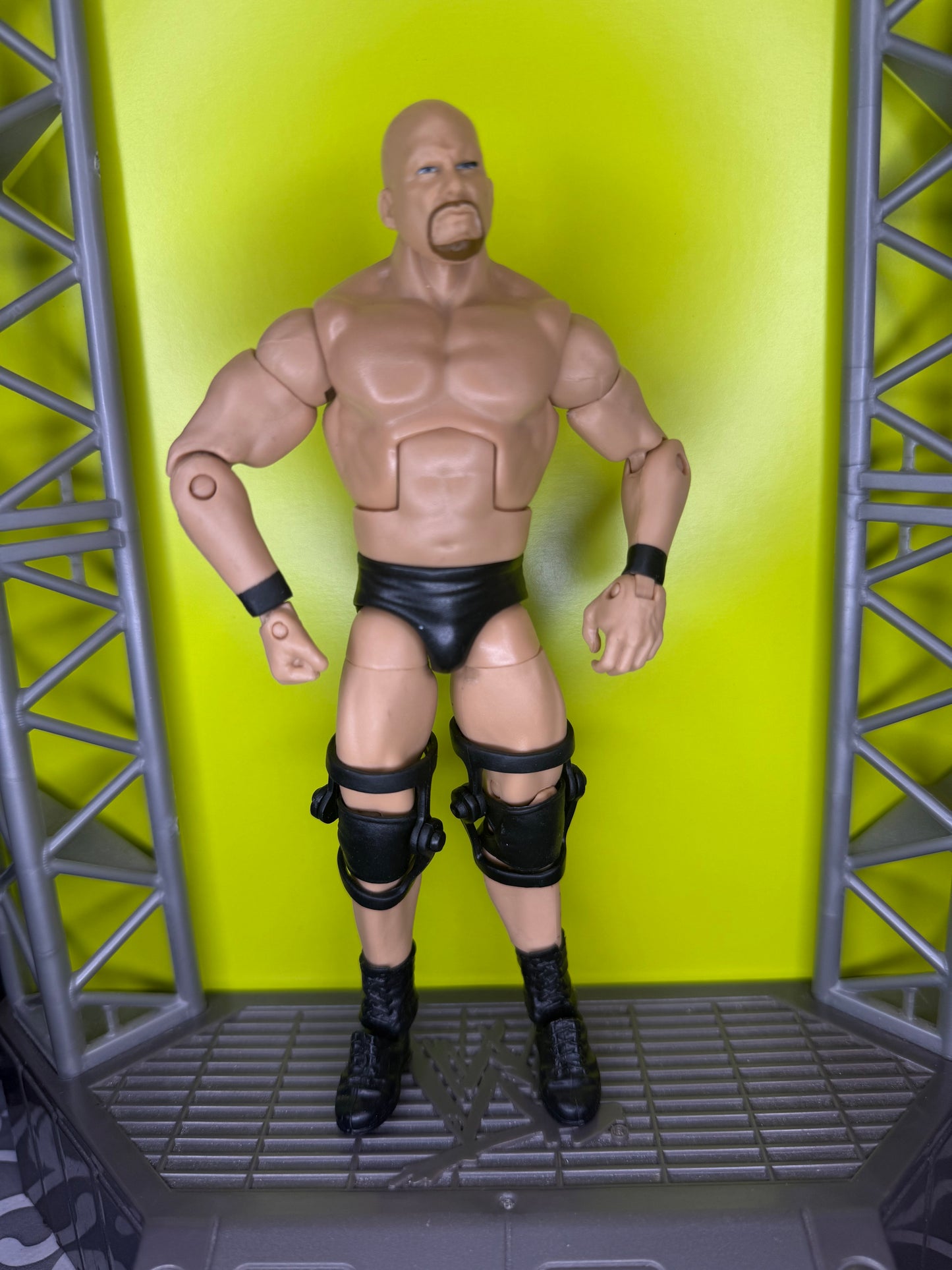 Stone Cold Steve Austin