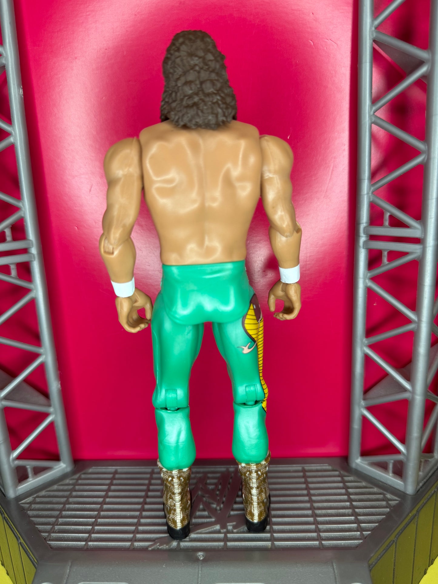Jake the Snake Roberts