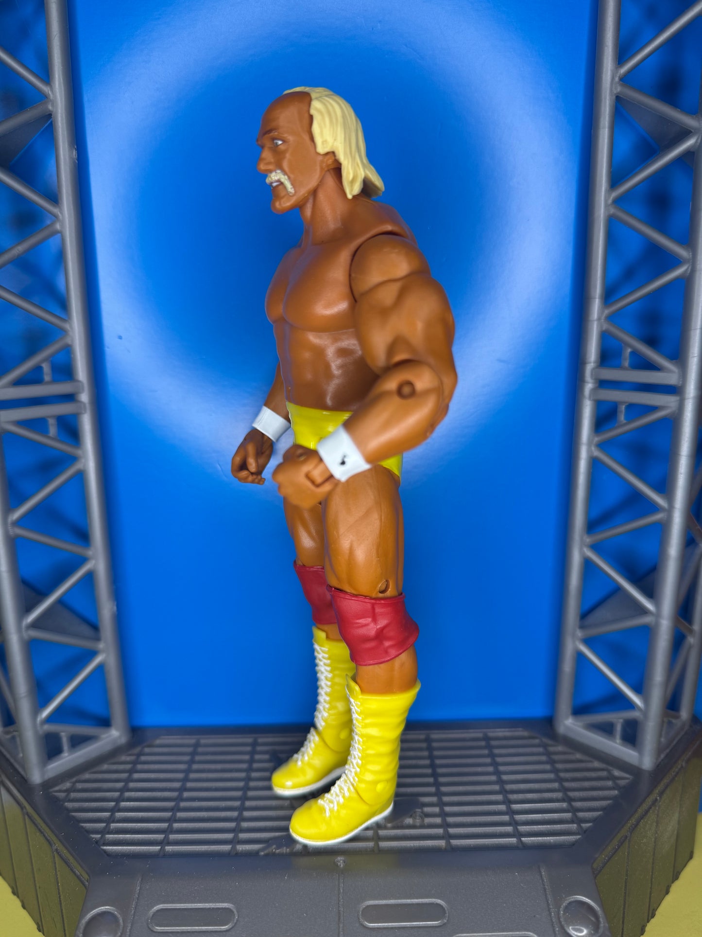 Hulk Hogan