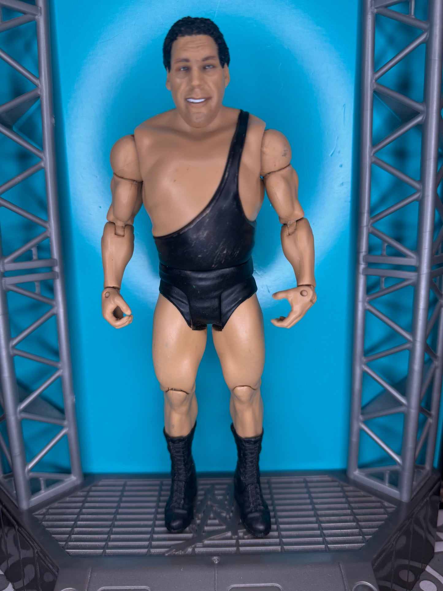 Andre The Giant
