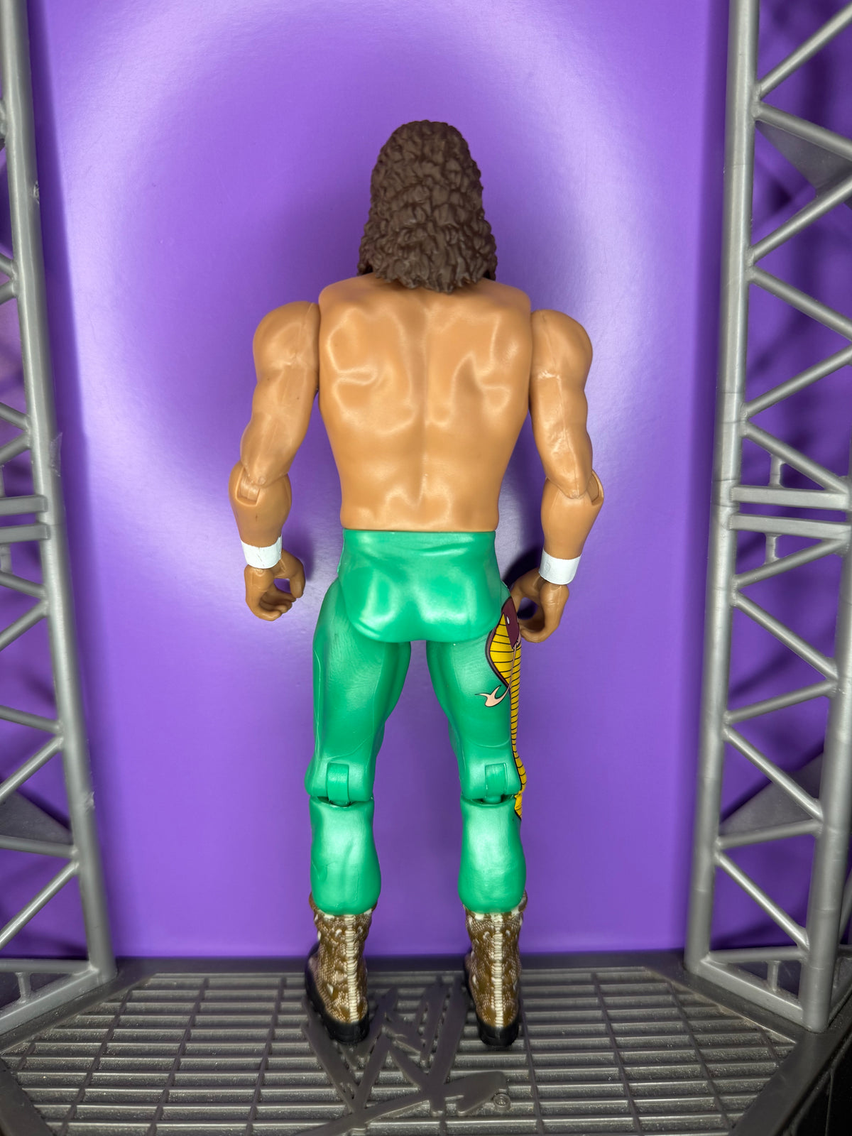 Jake the Snake Roberts