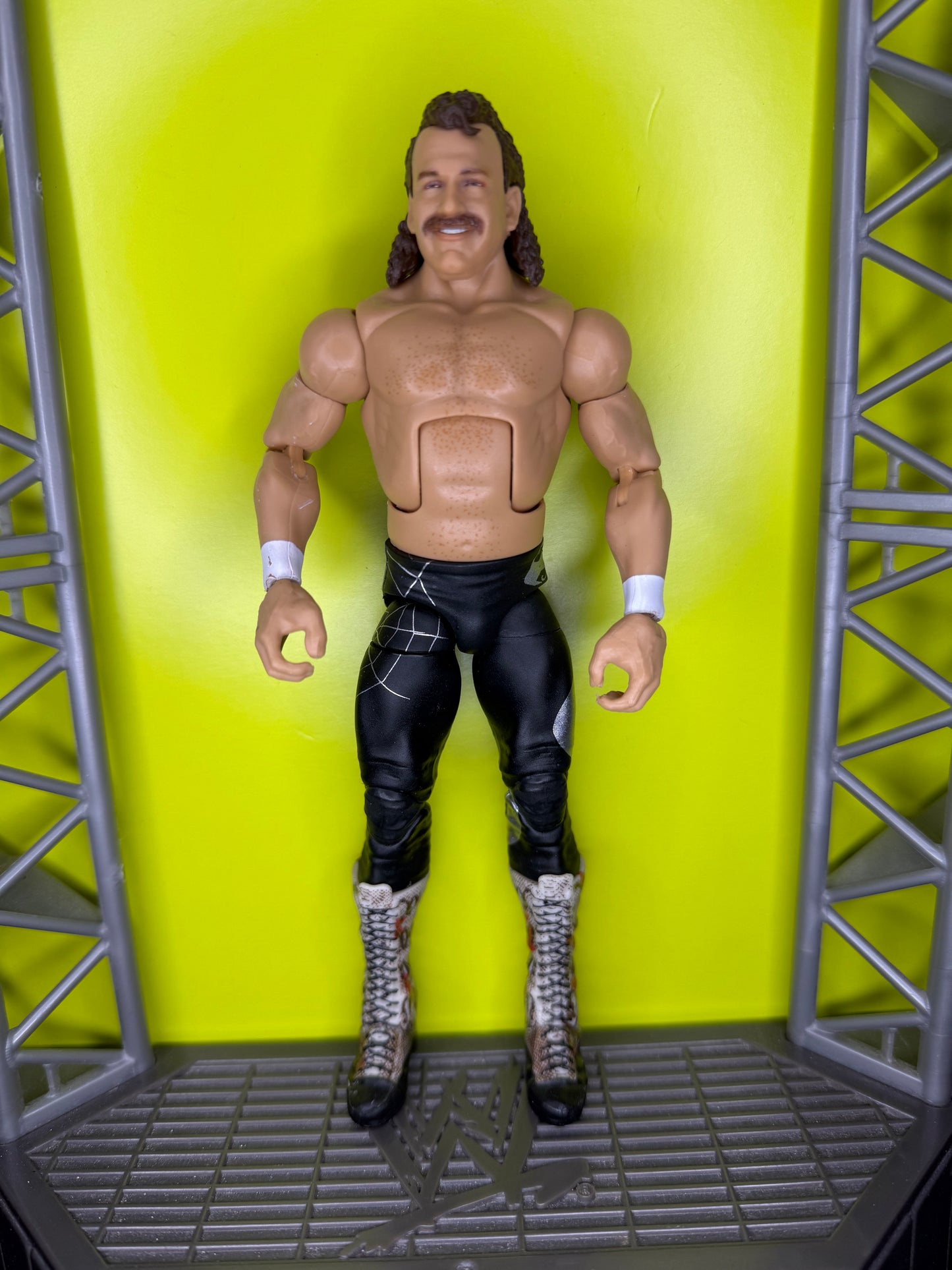 Jake “the snake” Roberts