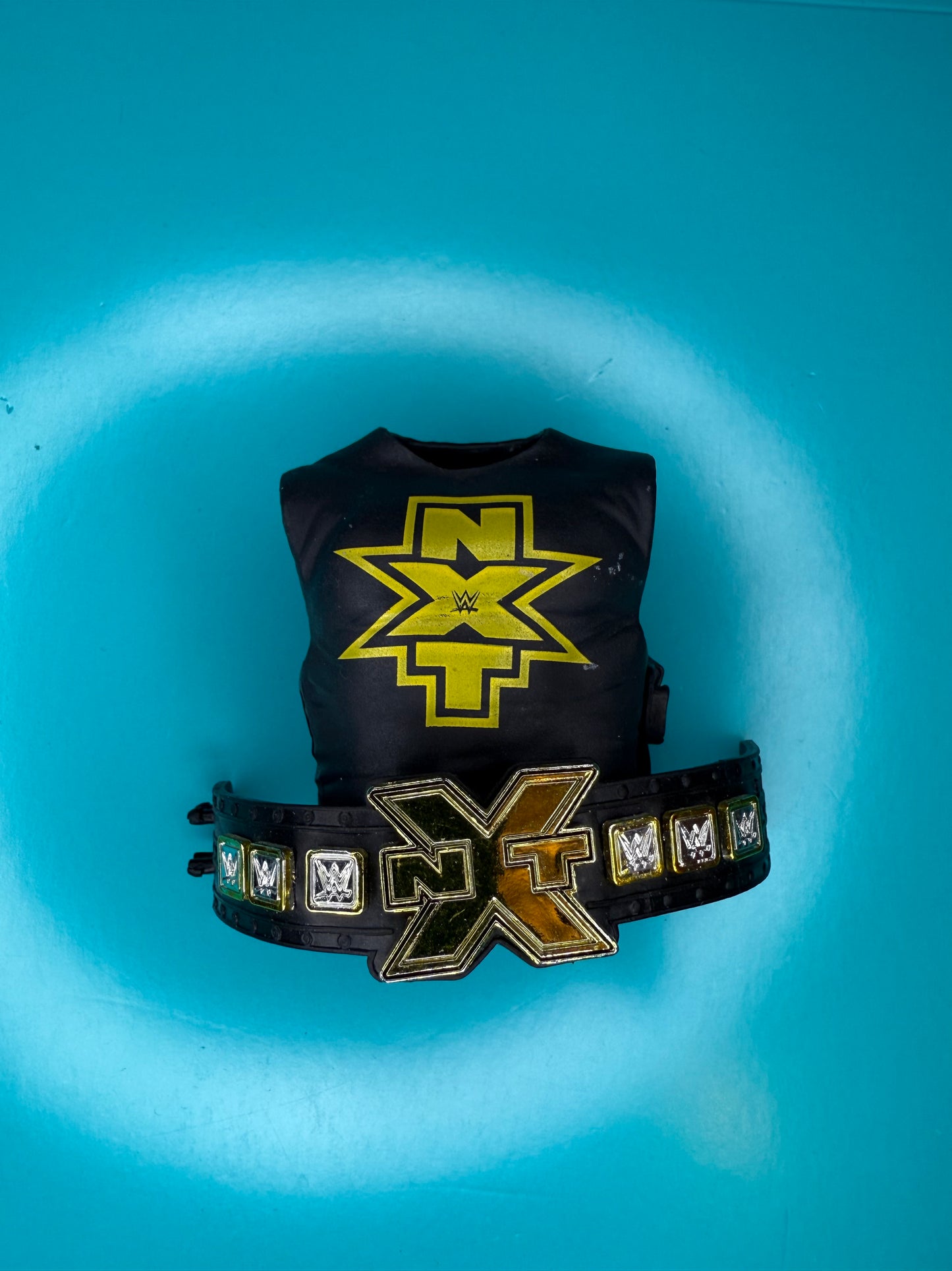Accessories T-shirt + Belt NXT Bundle