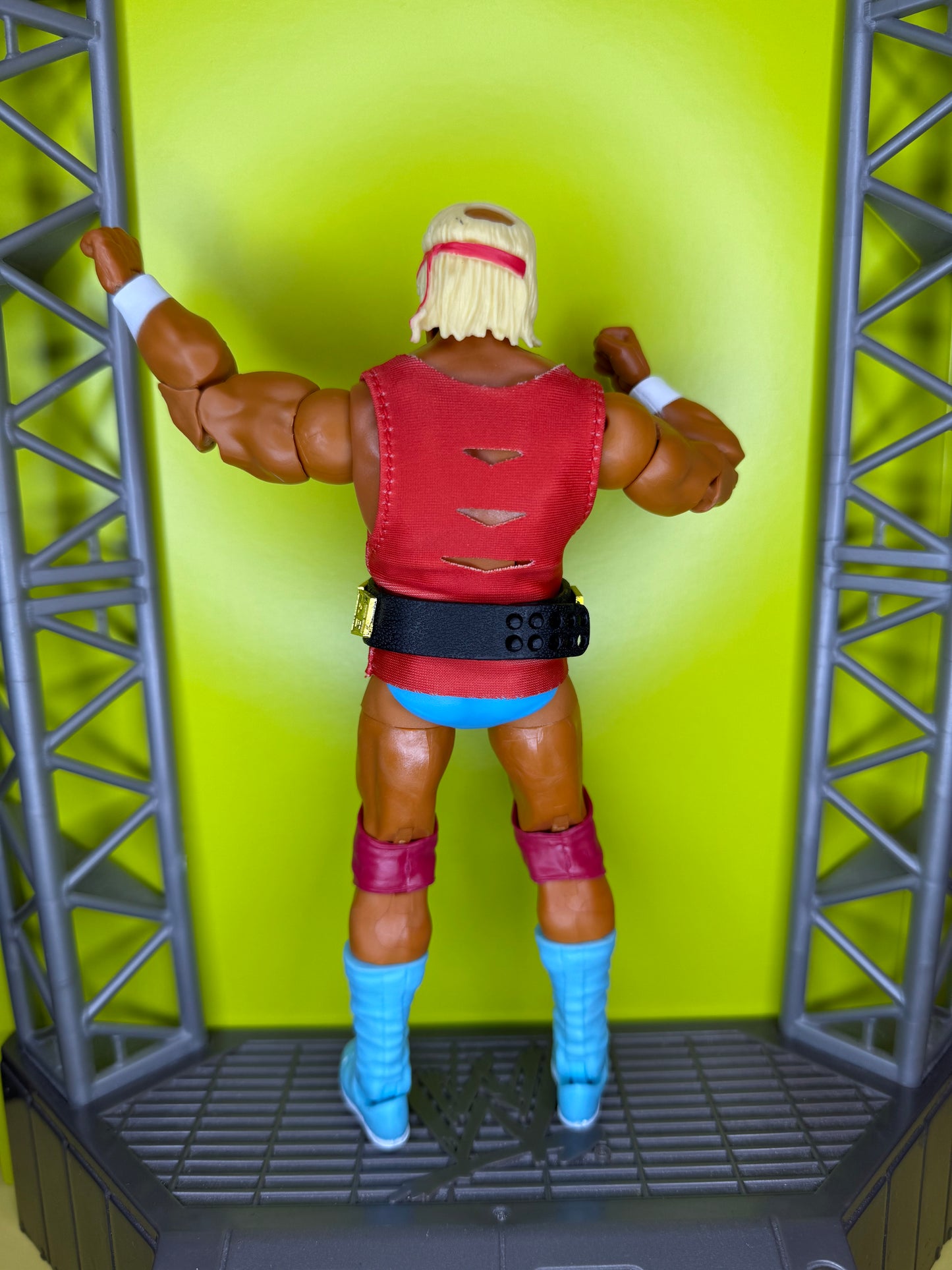 Hulk Hogan