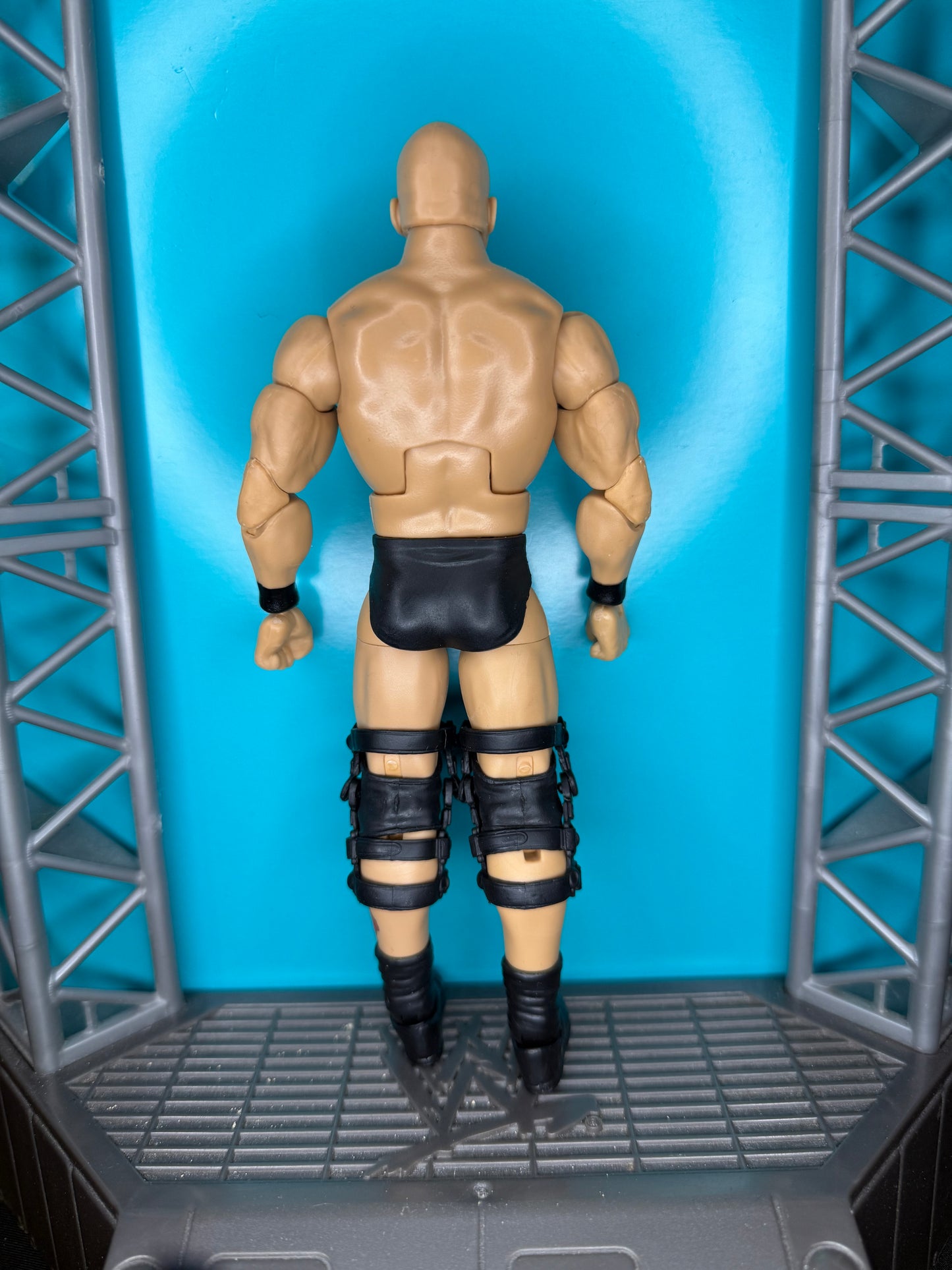 Stone Cold Steve Austin