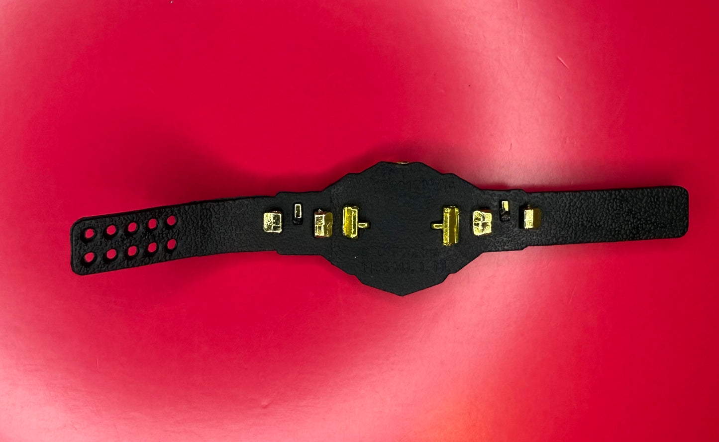 Figure Belt NXT Heavyweight title