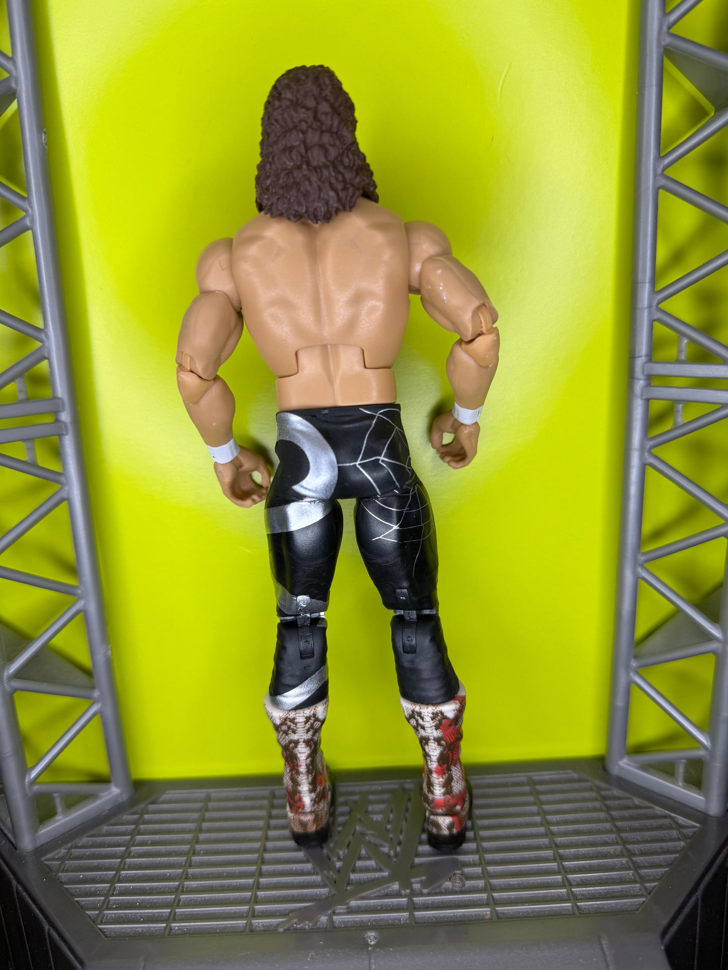 Jake “the snake” Roberts