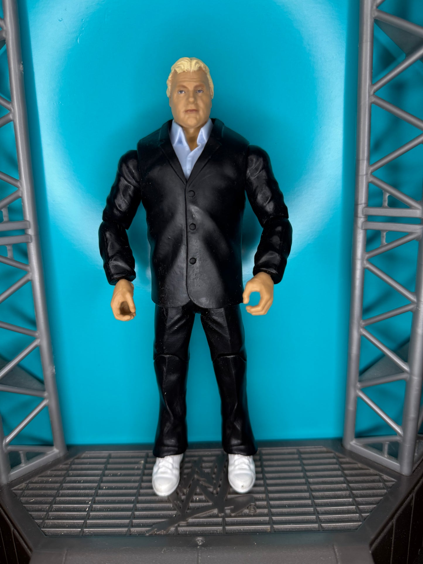 Bobby the brain Heenan