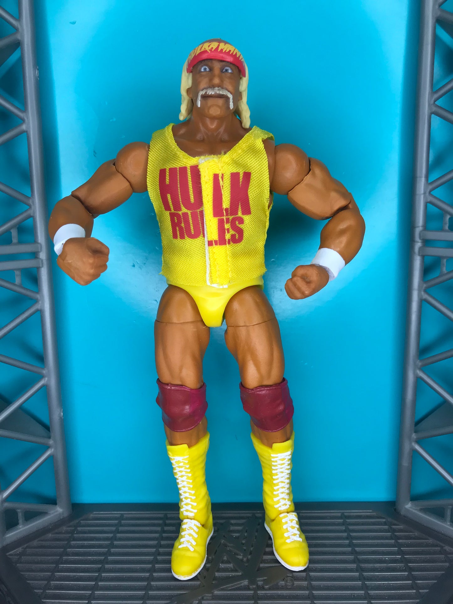 Hulk Hogan