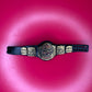 Figure Belt Tag Team Championship ECW