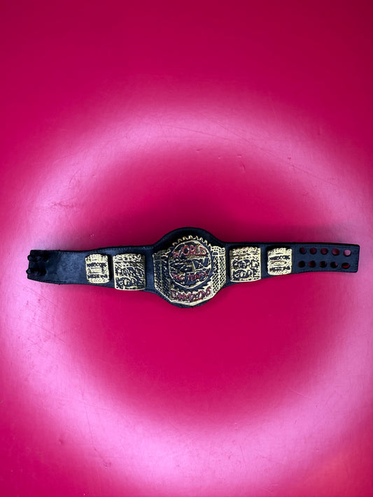Figure Belt Tag Team Championship ECW