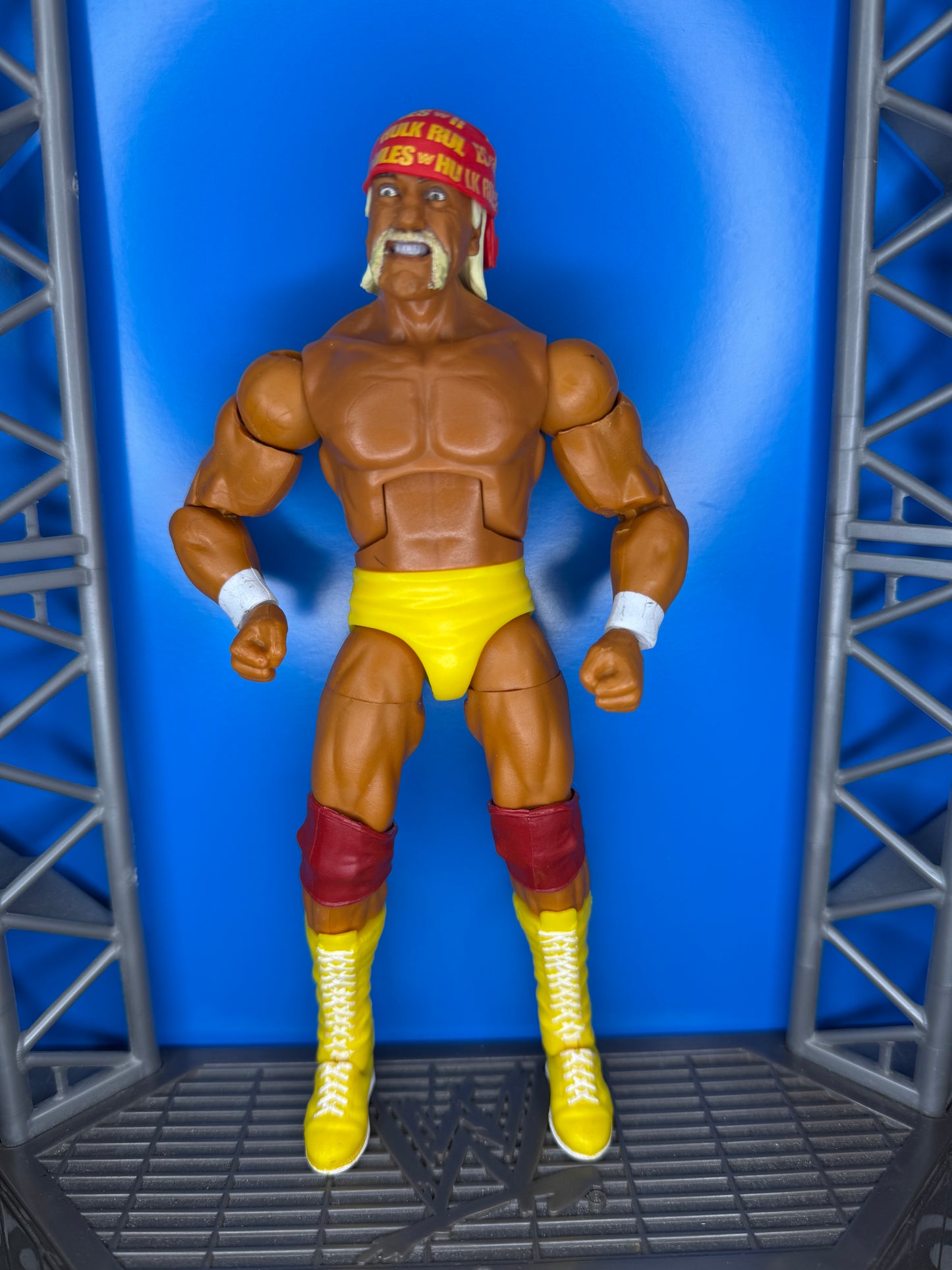 Hulk Hogan