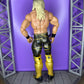 Seth Rollins