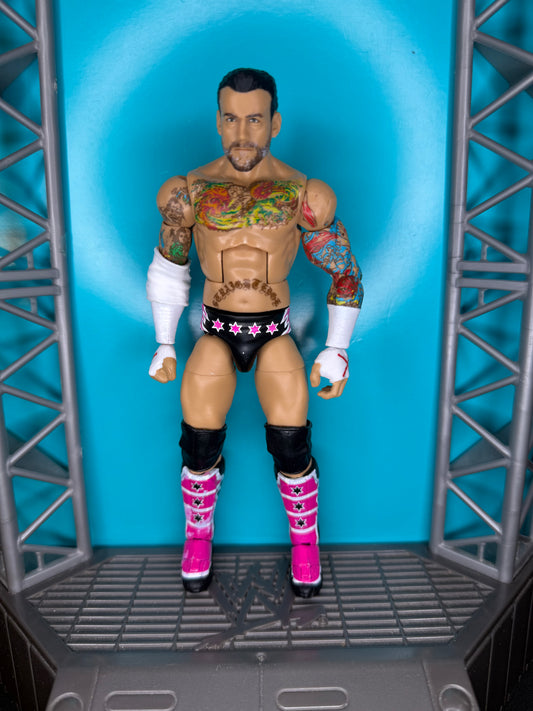 CM Punk