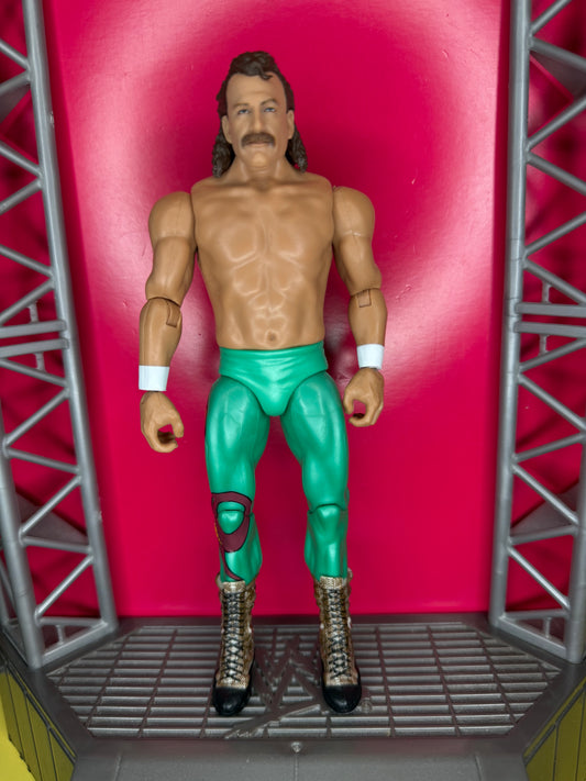 Jake the Snake Roberts