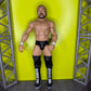 Million Dollar Man Ted Dibiase