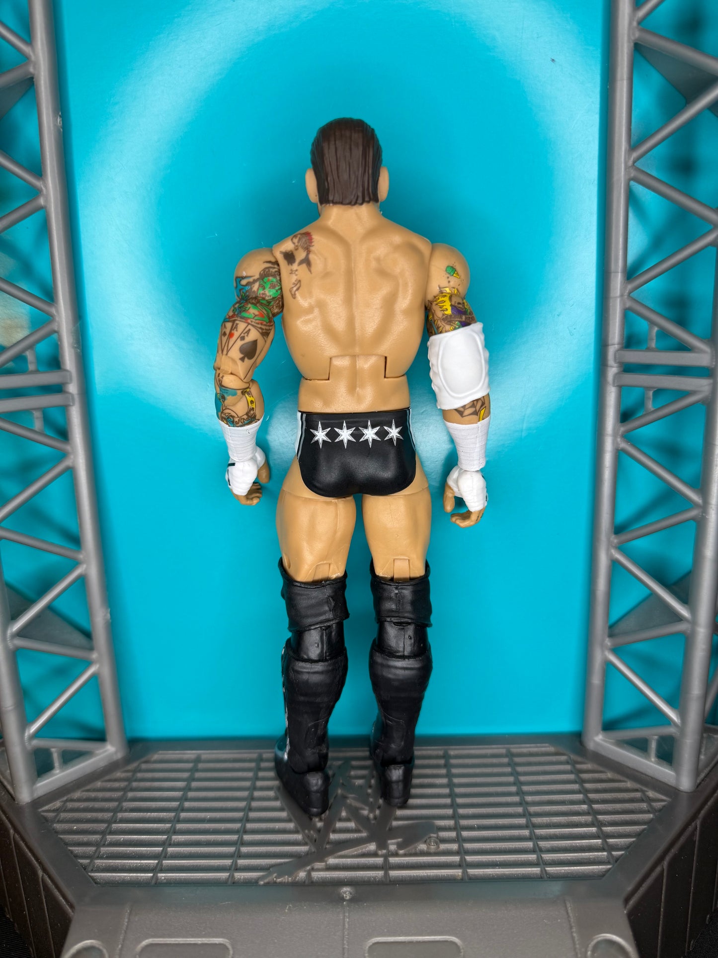 CM Punk