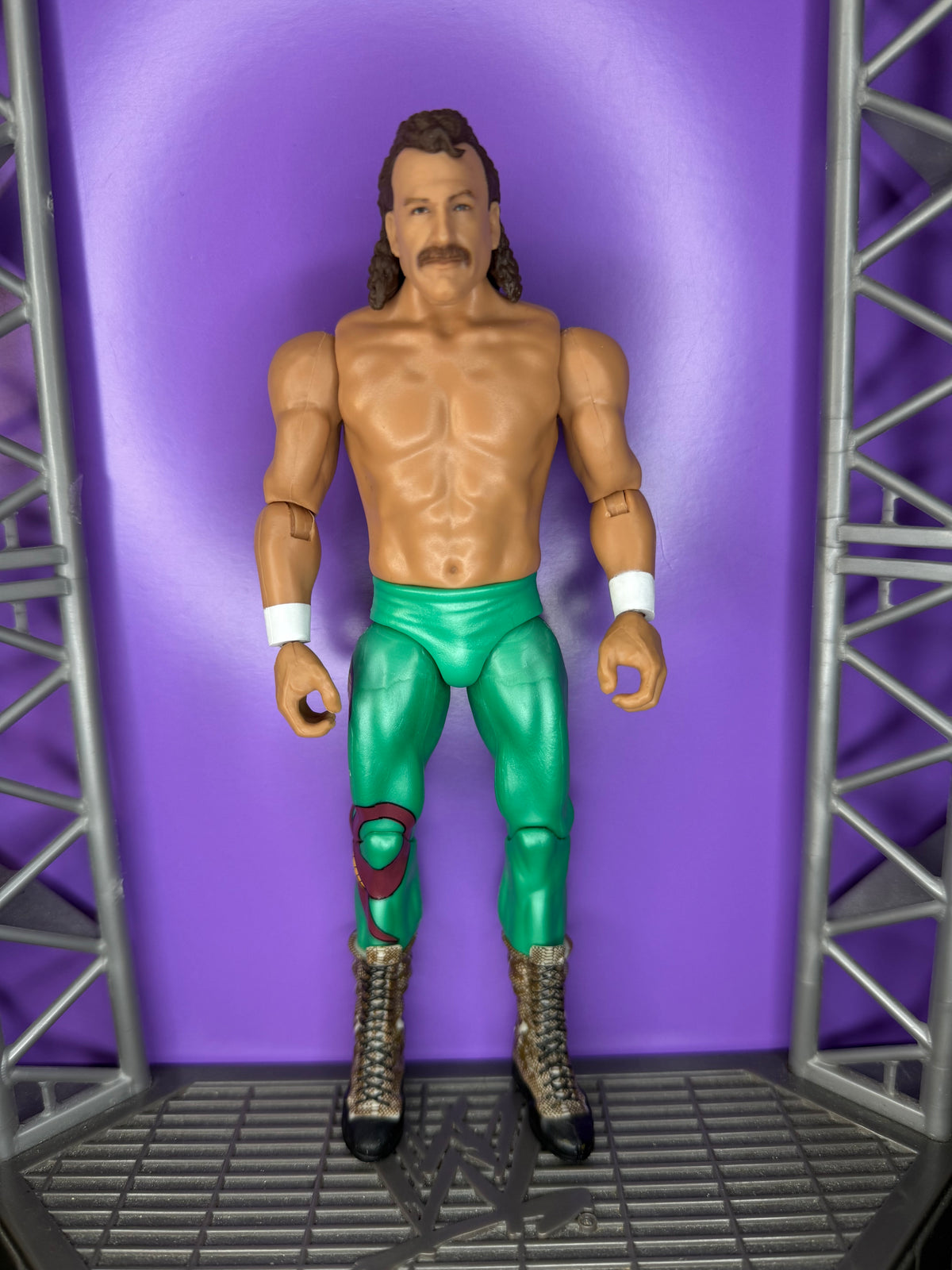Jake the Snake Roberts