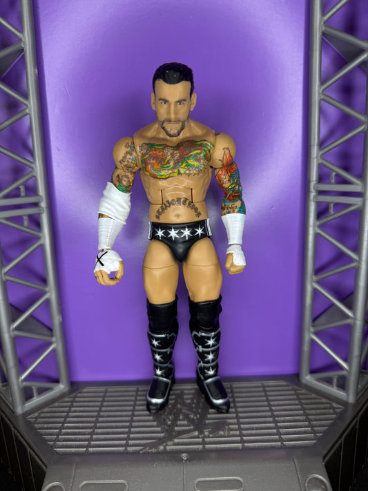 CM Punk