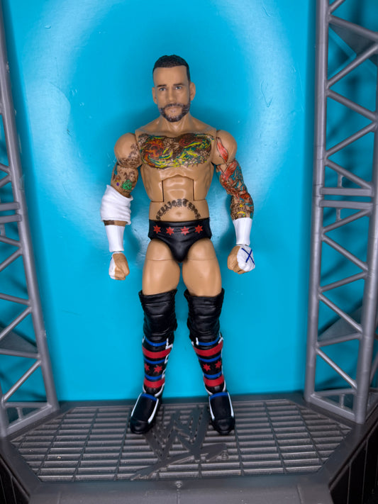 CM Punk