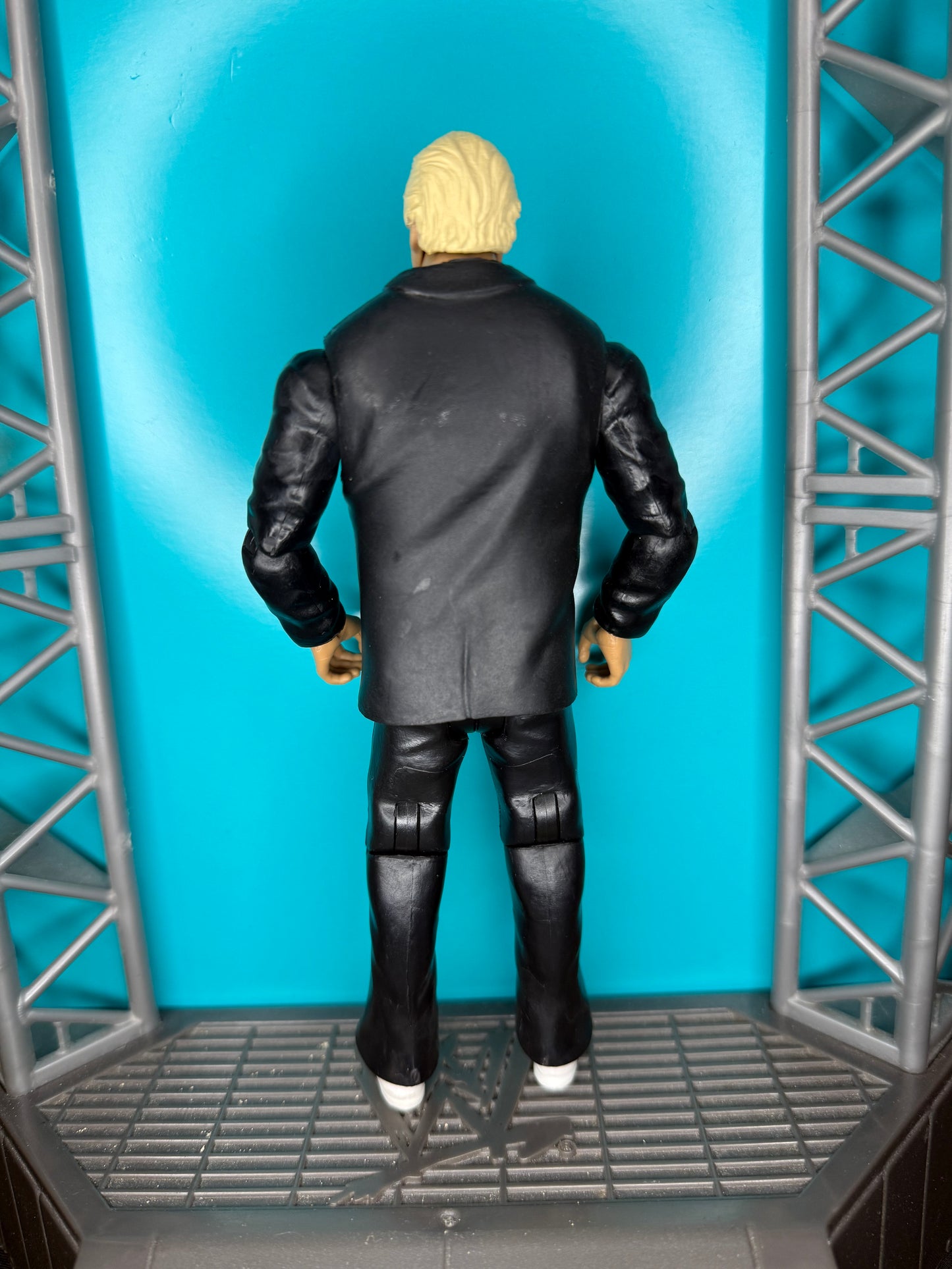 Bobby the brain Heenan