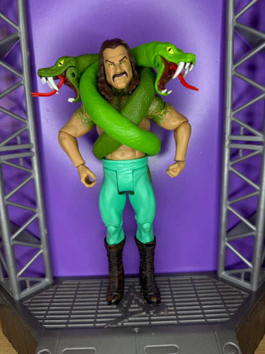 Jake the Snake Roberts