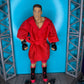 Ken Shamrock