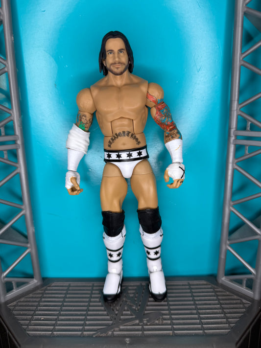 CM Punk