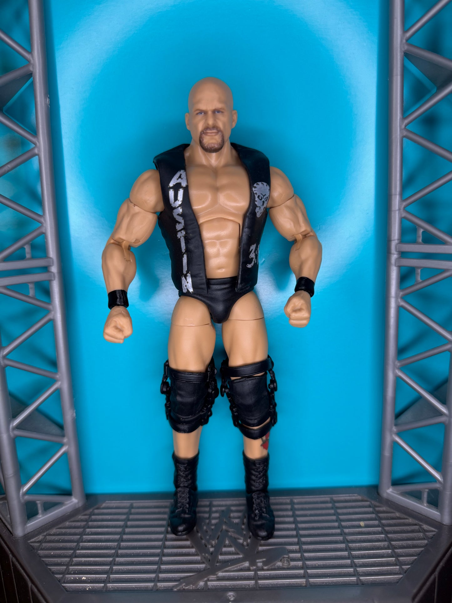 Stone Cold Steve Austin