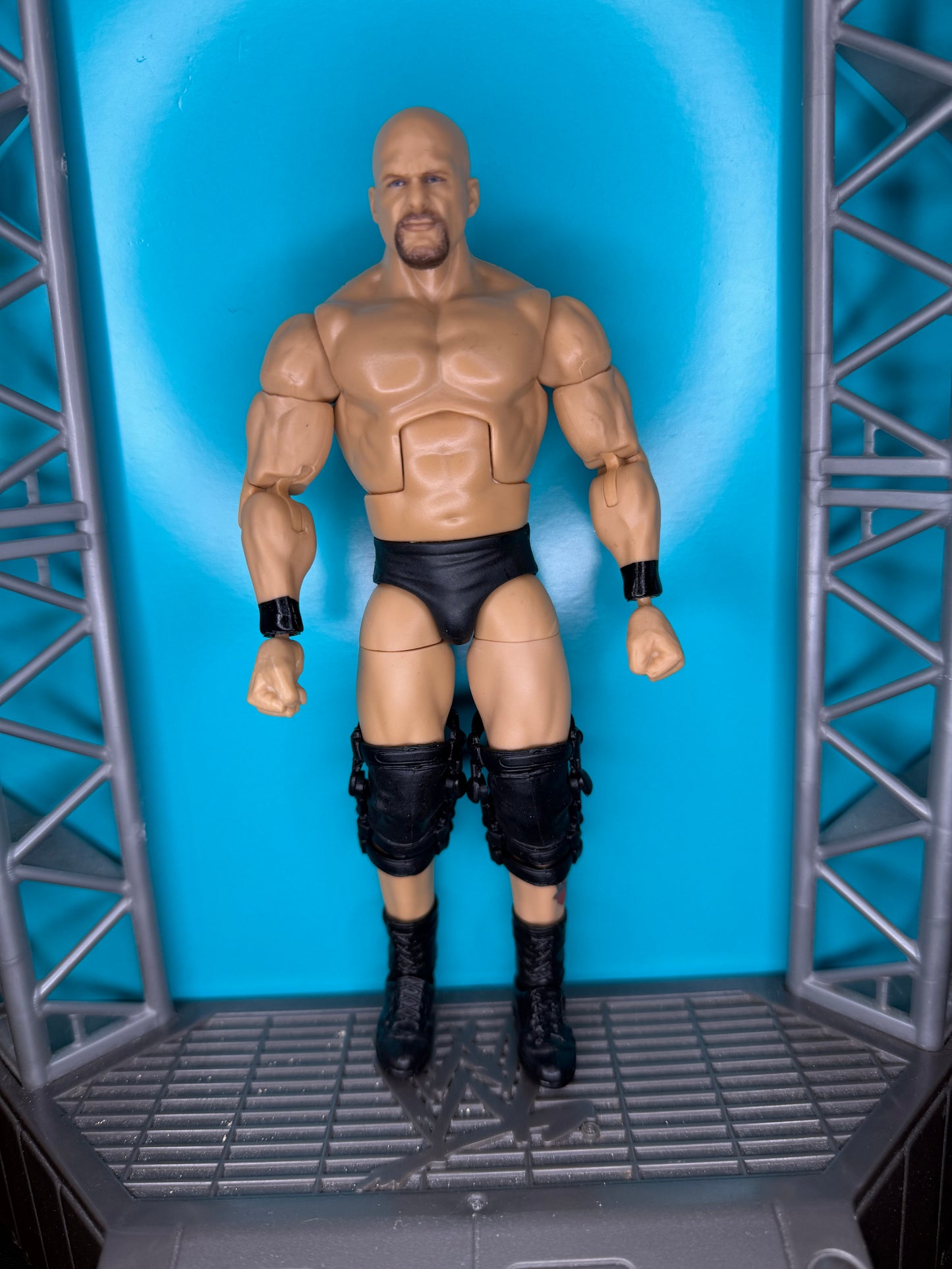 Stone Cold Steve Austin