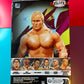 Stunning Steve Austin