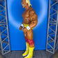 Hulk Hogan