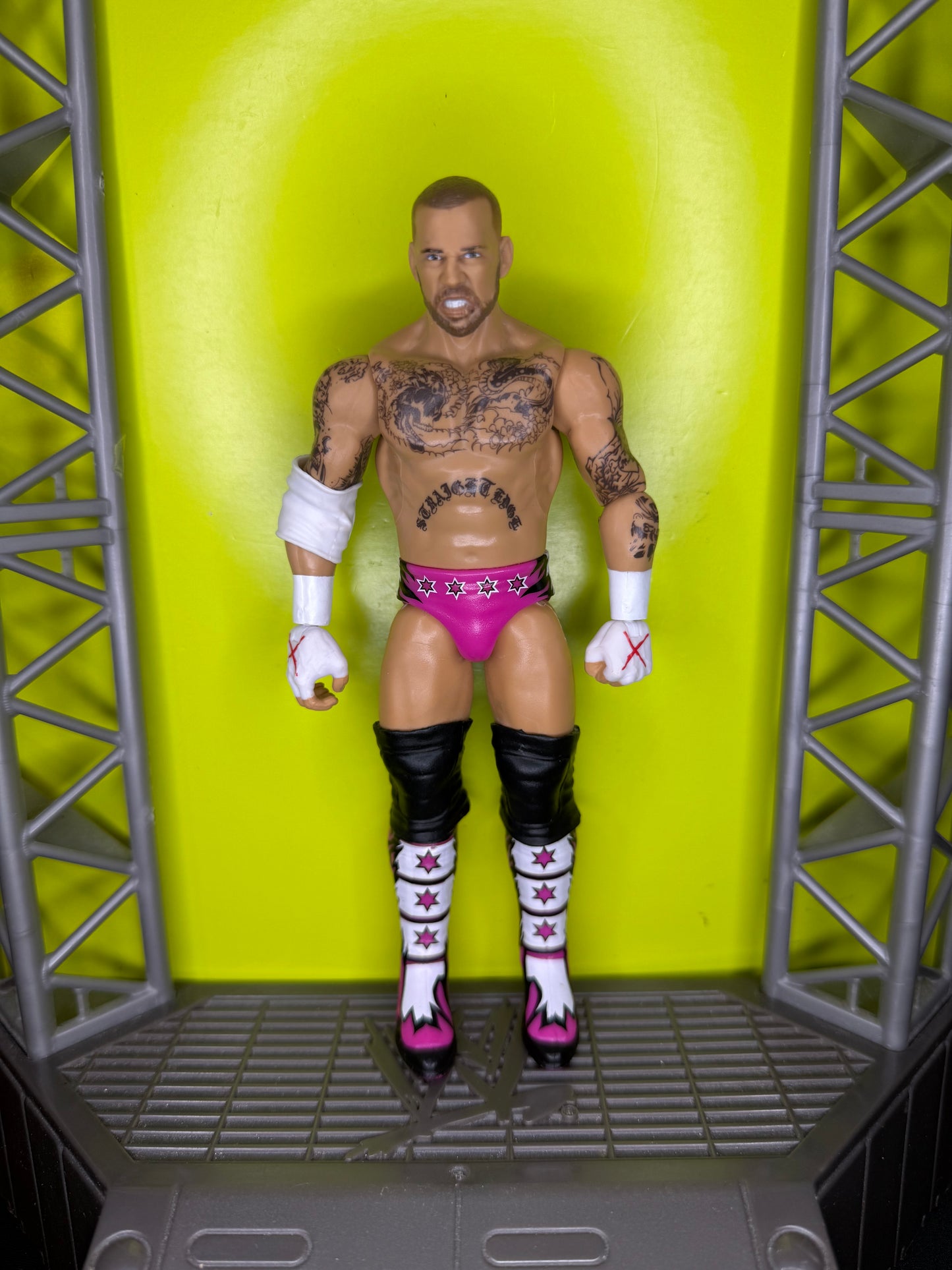 CM Punk
