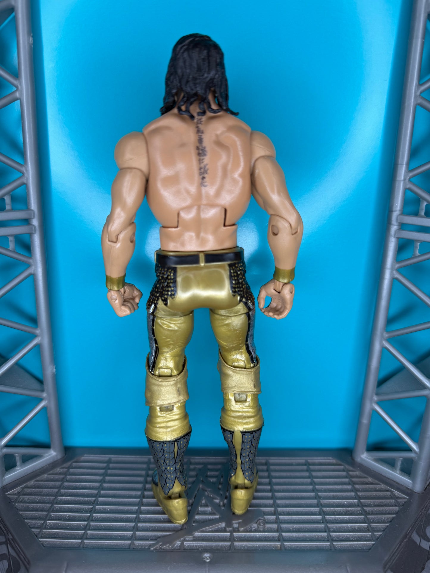 Seth Rollins