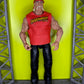 Hulk Hogan