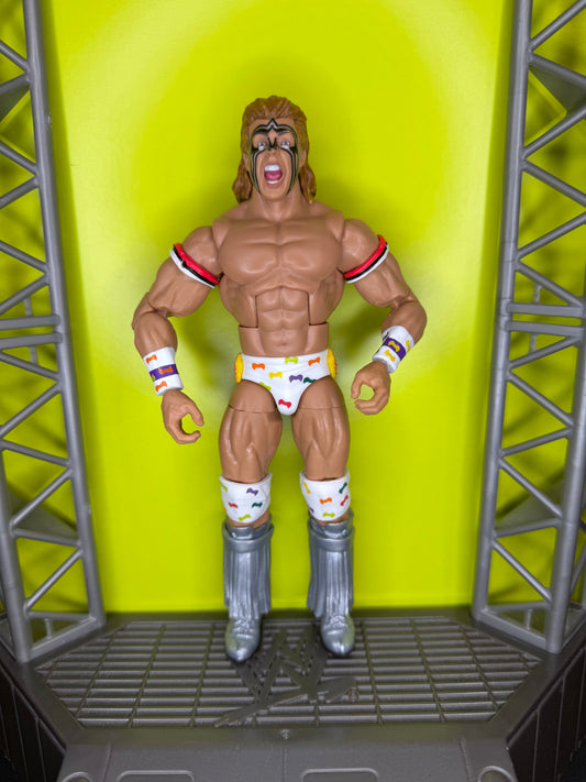 Ultimate Warrior