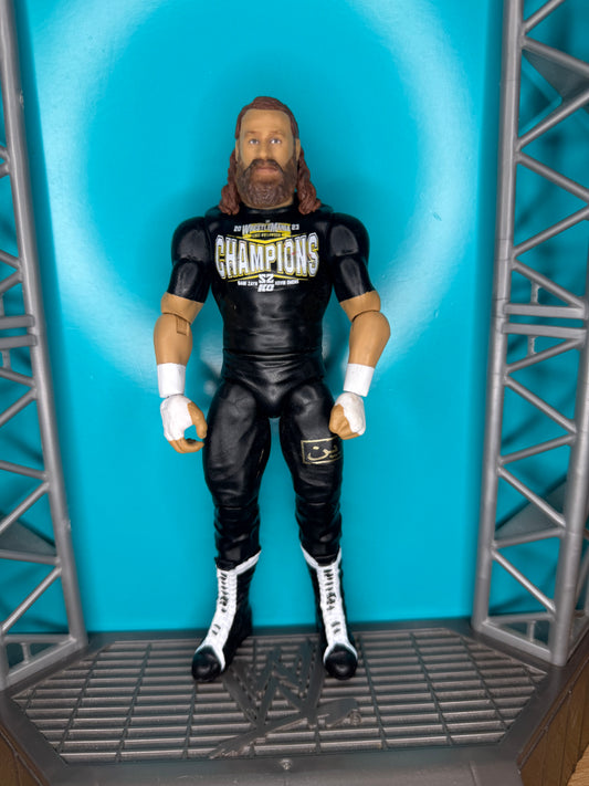 Sami Zayn