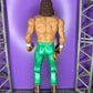 Jake the Snake Roberts