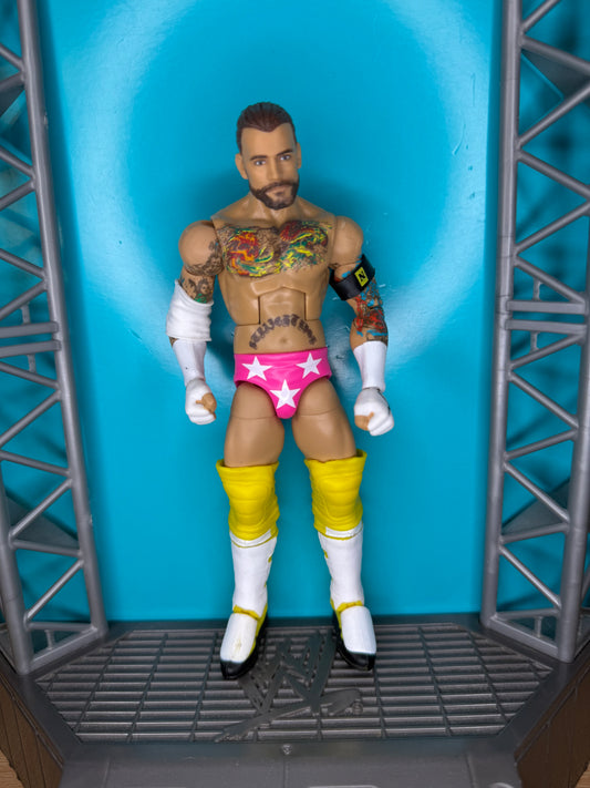 CM Punk