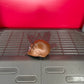 Accessories Bobby Lashley Head bundle