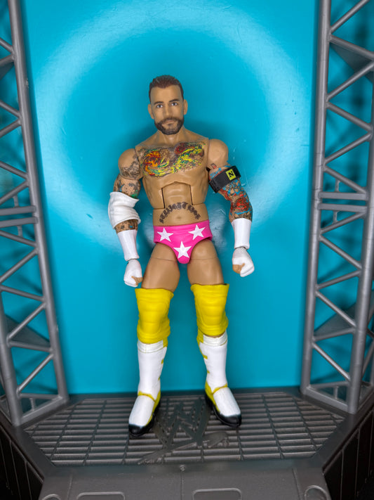 CM Punk