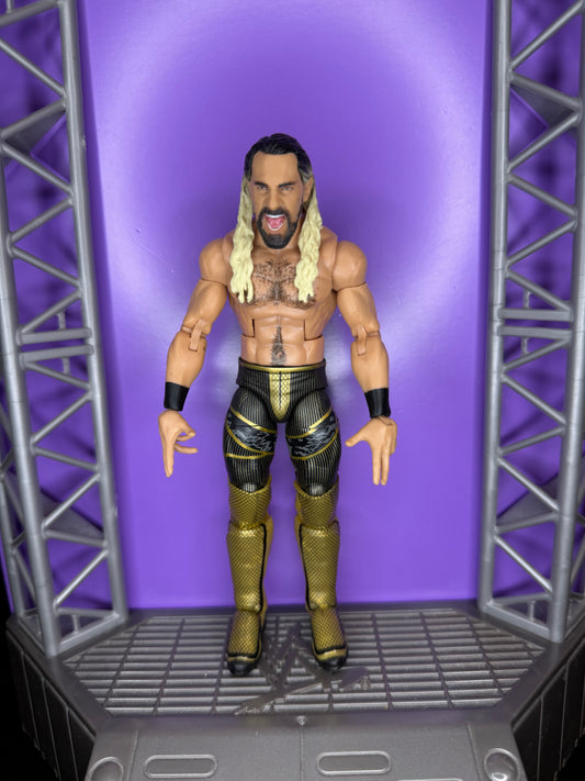 Seth Rollins