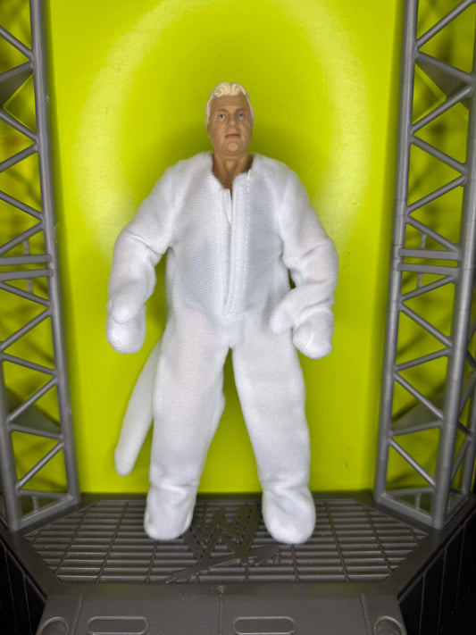 Bobby the brain Heenan