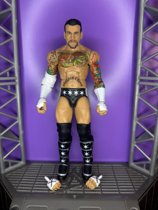 CM Punk