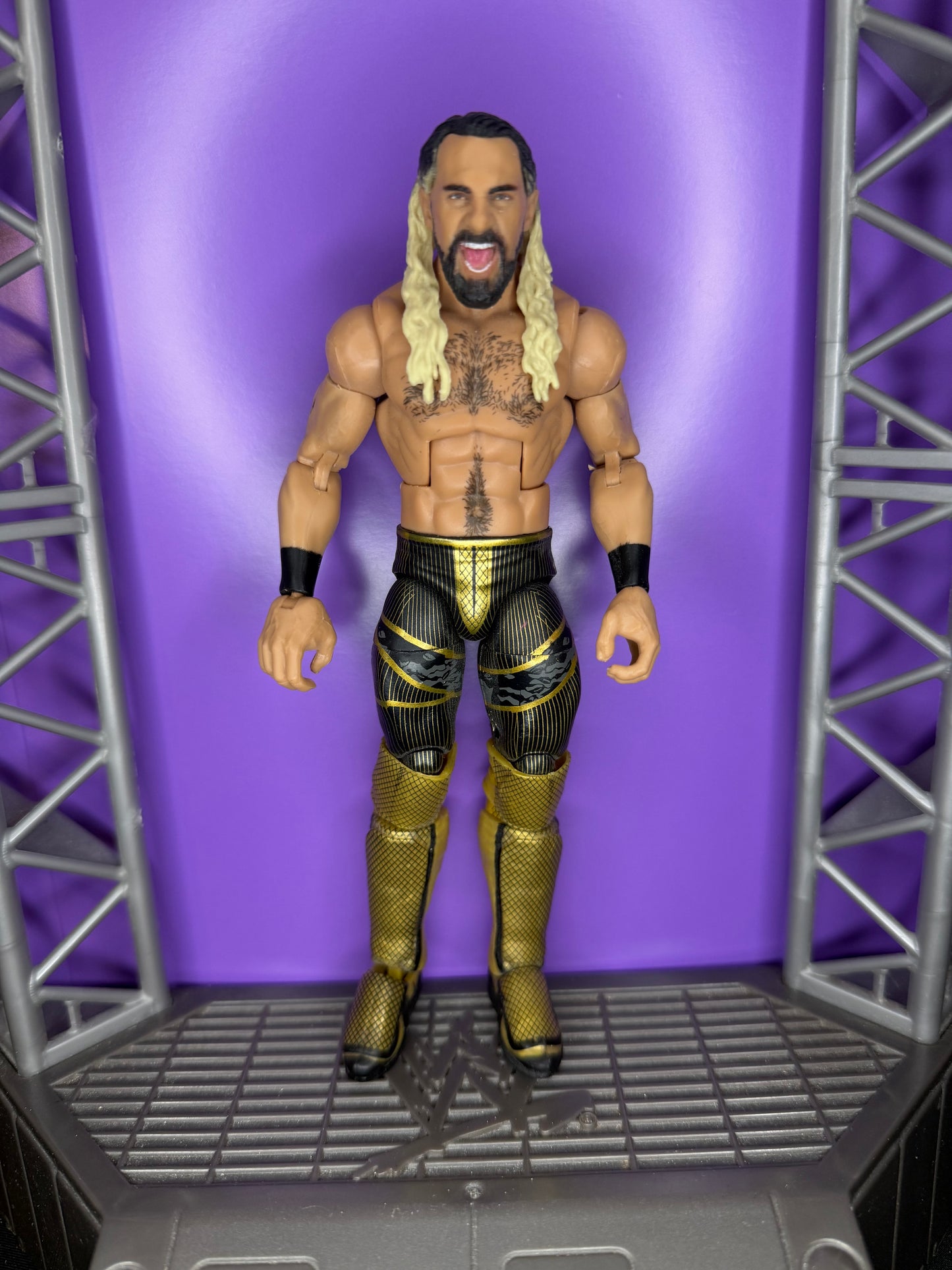 Seth Rollins