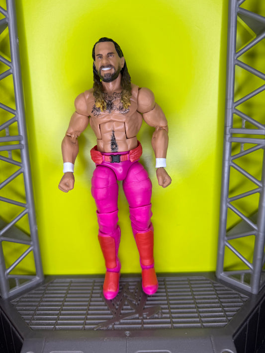 Seth Rollins