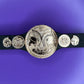 Figure Belt Tag Team Championship