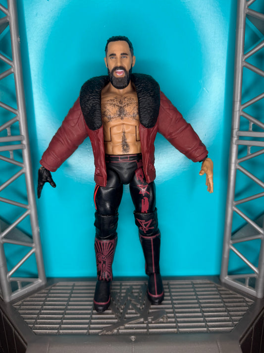 Seth Rollins
