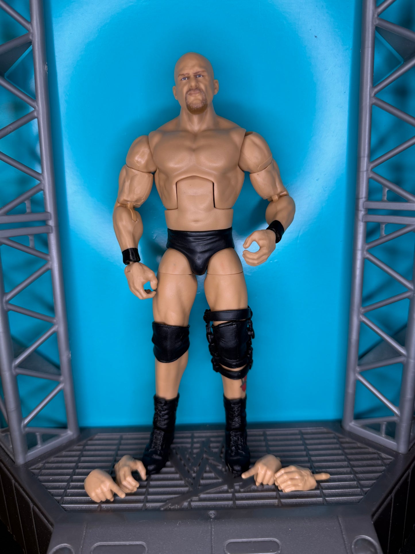 Stone Cold Steve Austin